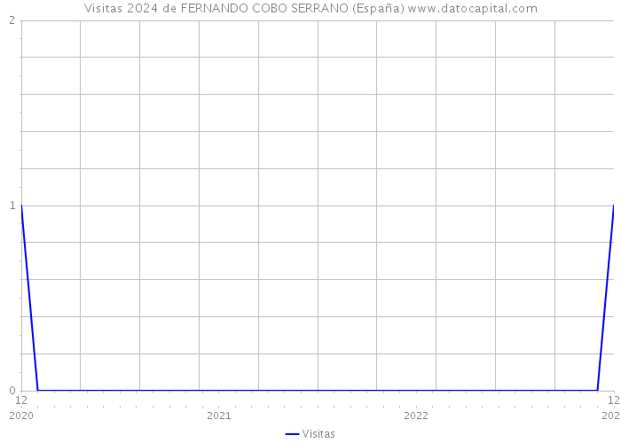 Visitas 2024 de FERNANDO COBO SERRANO (España) 