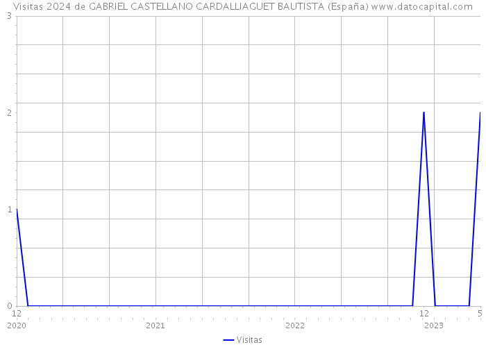 Visitas 2024 de GABRIEL CASTELLANO CARDALLIAGUET BAUTISTA (España) 