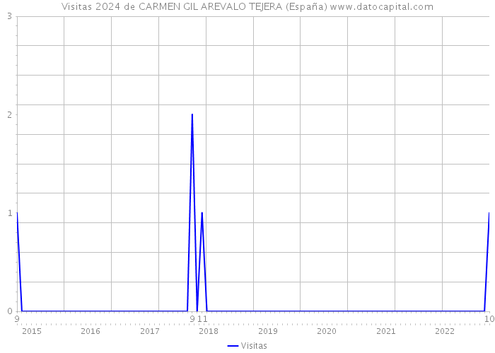 Visitas 2024 de CARMEN GIL AREVALO TEJERA (España) 