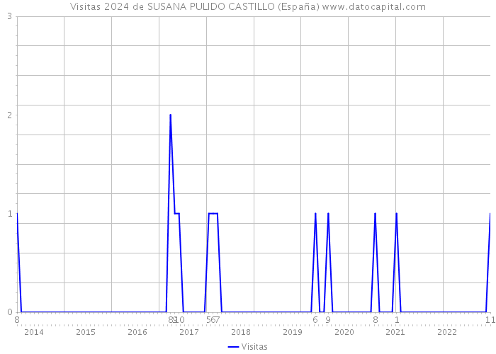 Visitas 2024 de SUSANA PULIDO CASTILLO (España) 
