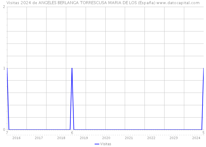 Visitas 2024 de ANGELES BERLANGA TORRESCUSA MARIA DE LOS (España) 