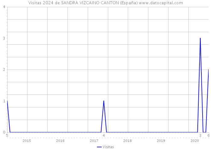 Visitas 2024 de SANDRA VIZCAINO CANTON (España) 