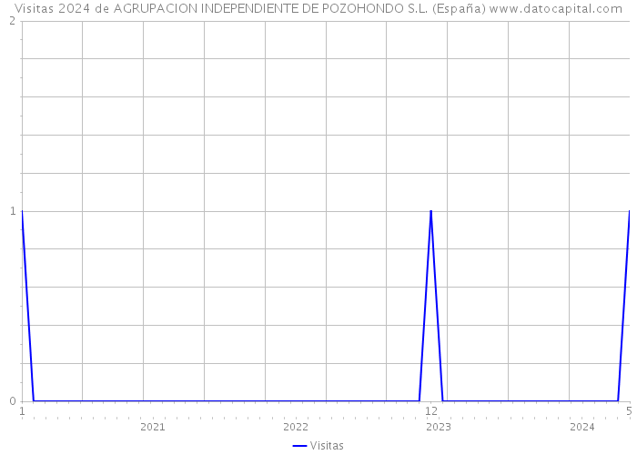 Visitas 2024 de AGRUPACION INDEPENDIENTE DE POZOHONDO S.L. (España) 