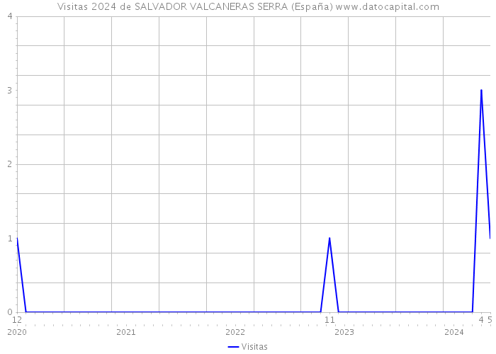 Visitas 2024 de SALVADOR VALCANERAS SERRA (España) 