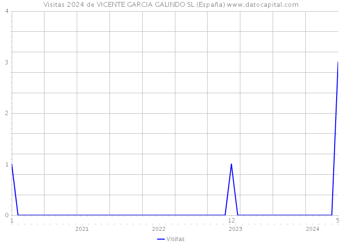 Visitas 2024 de VICENTE GARCIA GALINDO SL (España) 