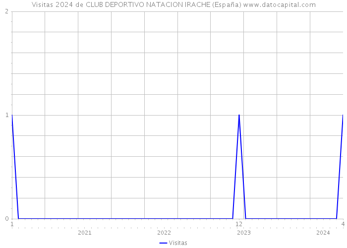 Visitas 2024 de CLUB DEPORTIVO NATACION IRACHE (España) 
