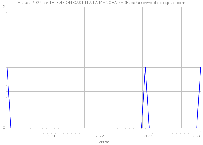Visitas 2024 de TELEVISION CASTILLA LA MANCHA SA (España) 