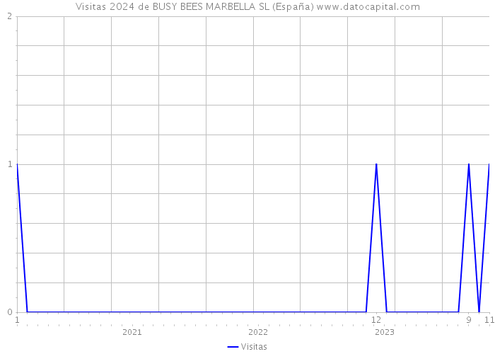 Visitas 2024 de BUSY BEES MARBELLA SL (España) 