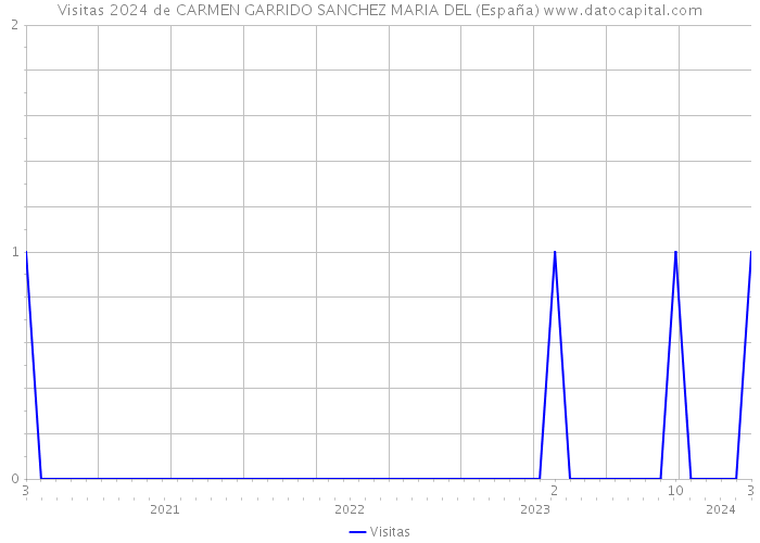 Visitas 2024 de CARMEN GARRIDO SANCHEZ MARIA DEL (España) 