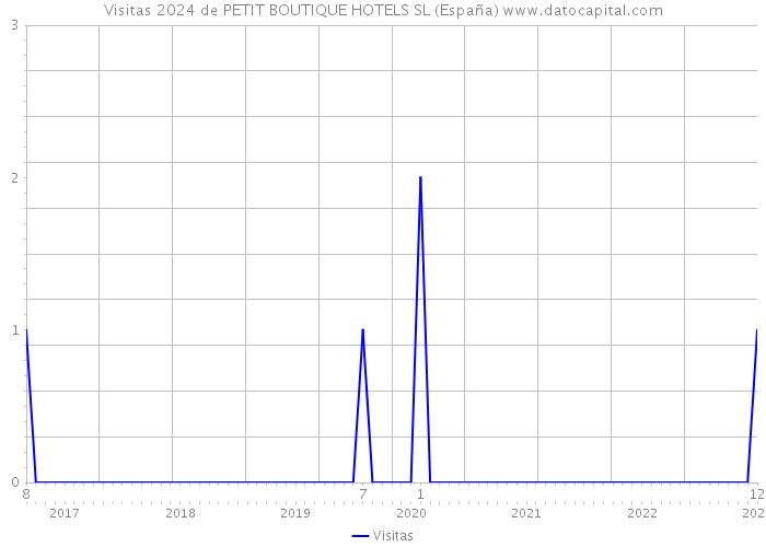 Visitas 2024 de PETIT BOUTIQUE HOTELS SL (España) 