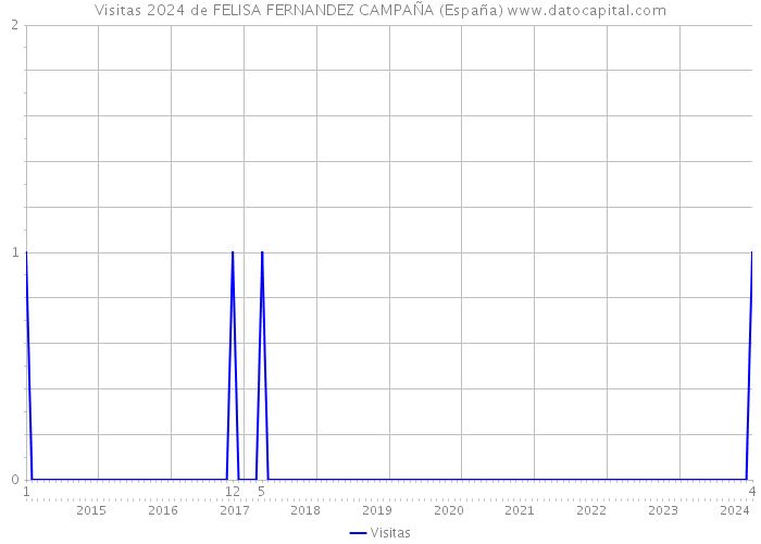 Visitas 2024 de FELISA FERNANDEZ CAMPAÑA (España) 