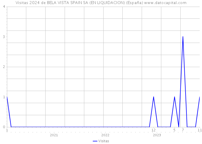 Visitas 2024 de BELA VISTA SPAIN SA (EN LIQUIDACION) (España) 