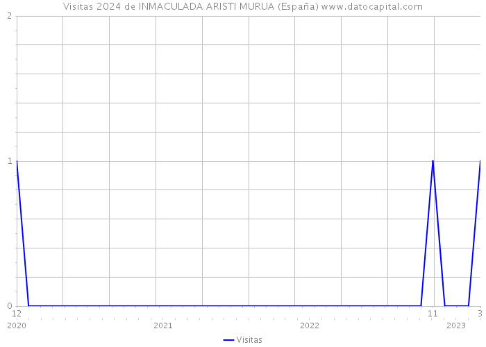 Visitas 2024 de INMACULADA ARISTI MURUA (España) 