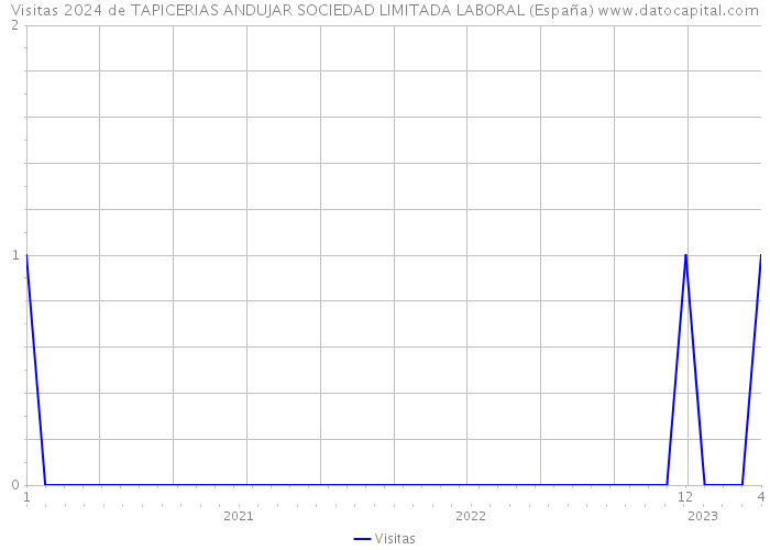 Visitas 2024 de TAPICERIAS ANDUJAR SOCIEDAD LIMITADA LABORAL (España) 