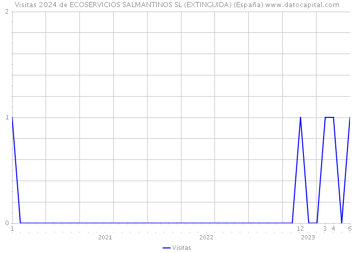 Visitas 2024 de ECOSERVICIOS SALMANTINOS SL (EXTINGUIDA) (España) 