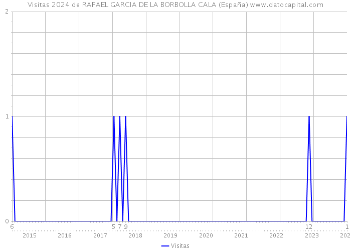 Visitas 2024 de RAFAEL GARCIA DE LA BORBOLLA CALA (España) 