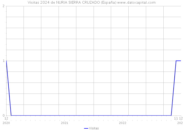 Visitas 2024 de NURIA SIERRA CRUZADO (España) 
