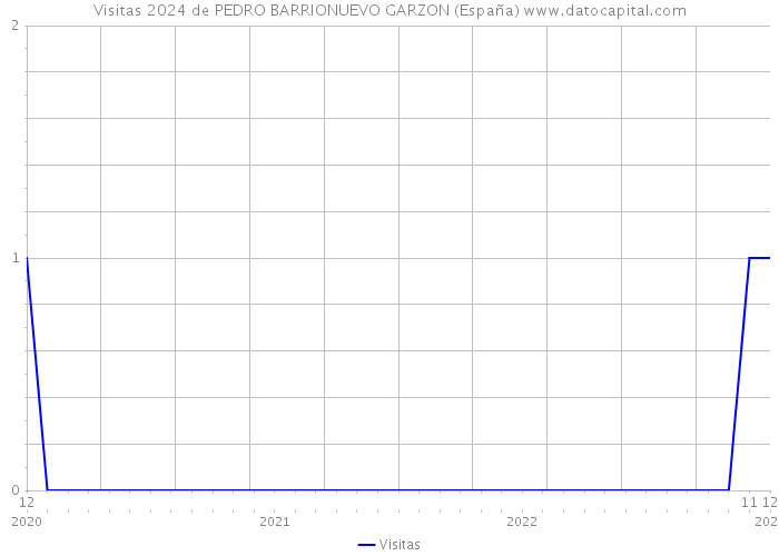 Visitas 2024 de PEDRO BARRIONUEVO GARZON (España) 
