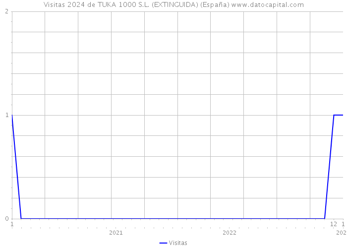 Visitas 2024 de TUKA 1000 S.L. (EXTINGUIDA) (España) 