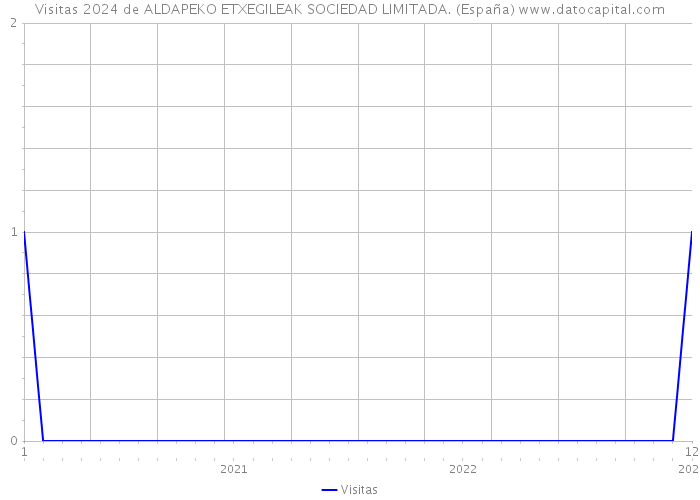 Visitas 2024 de ALDAPEKO ETXEGILEAK SOCIEDAD LIMITADA. (España) 