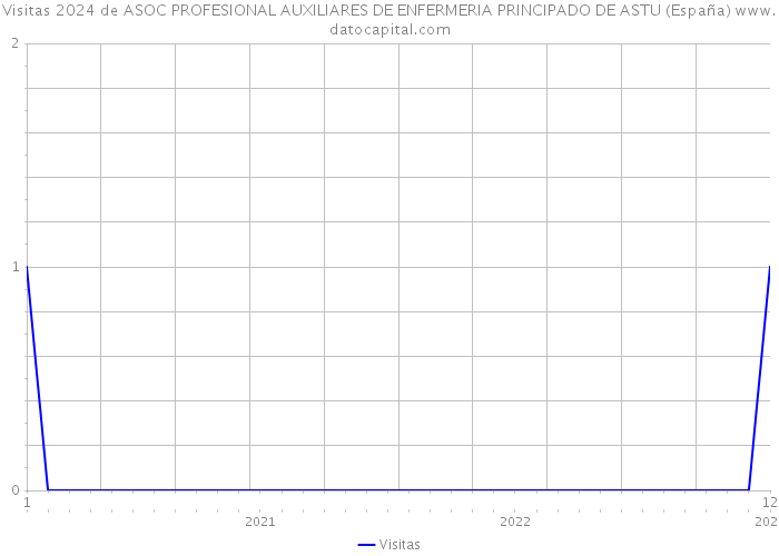 Visitas 2024 de ASOC PROFESIONAL AUXILIARES DE ENFERMERIA PRINCIPADO DE ASTU (España) 