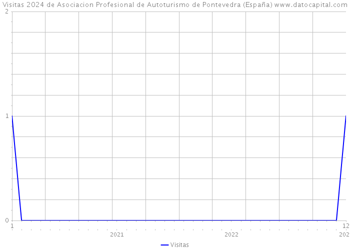 Visitas 2024 de Asociacion Profesional de Autoturismo de Pontevedra (España) 