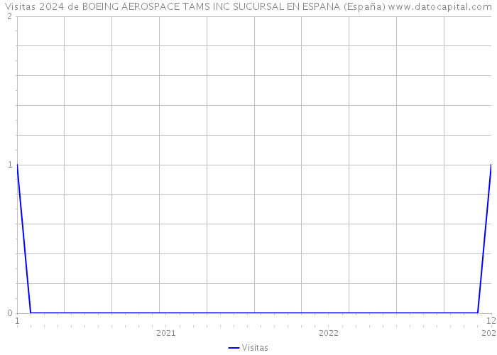 Visitas 2024 de BOEING AEROSPACE TAMS INC SUCURSAL EN ESPANA (España) 
