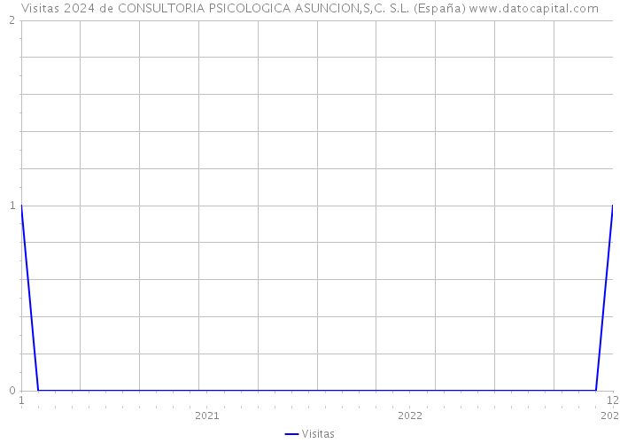 Visitas 2024 de CONSULTORIA PSICOLOGICA ASUNCION,S,C. S.L. (España) 