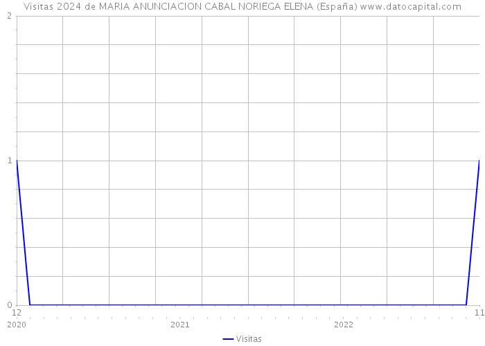 Visitas 2024 de MARIA ANUNCIACION CABAL NORIEGA ELENA (España) 