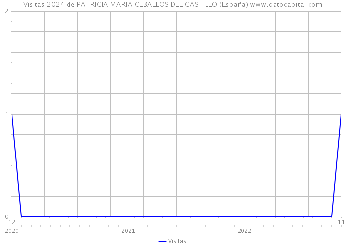 Visitas 2024 de PATRICIA MARIA CEBALLOS DEL CASTILLO (España) 
