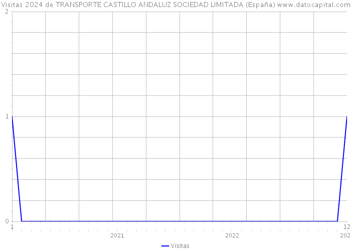 Visitas 2024 de TRANSPORTE CASTILLO ANDALUZ SOCIEDAD LIMITADA (España) 