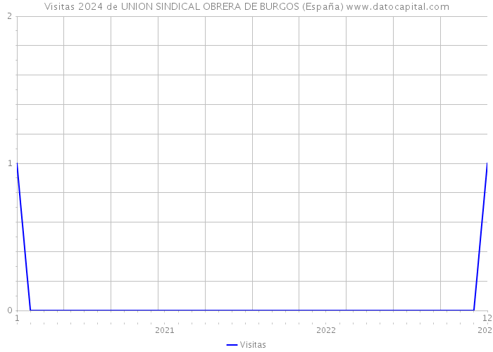Visitas 2024 de UNION SINDICAL OBRERA DE BURGOS (España) 