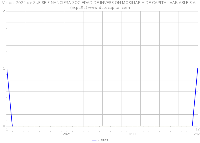 Visitas 2024 de ZUBISE FINANCIERA SOCIEDAD DE INVERSION MOBILIARIA DE CAPITAL VARIABLE S.A. (España) 
