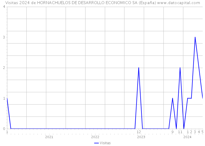 Visitas 2024 de HORNACHUELOS DE DESARROLLO ECONOMICO SA (España) 