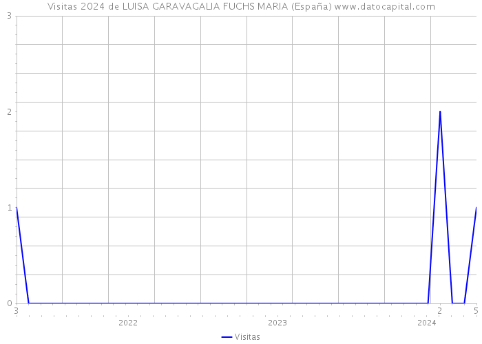 Visitas 2024 de LUISA GARAVAGALIA FUCHS MARIA (España) 