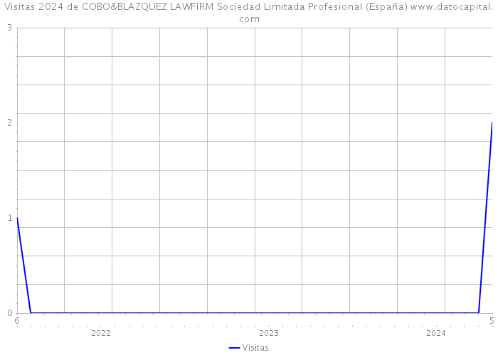 Visitas 2024 de COBO&BLAZQUEZ LAWFIRM Sociedad Limitada Profesional (España) 