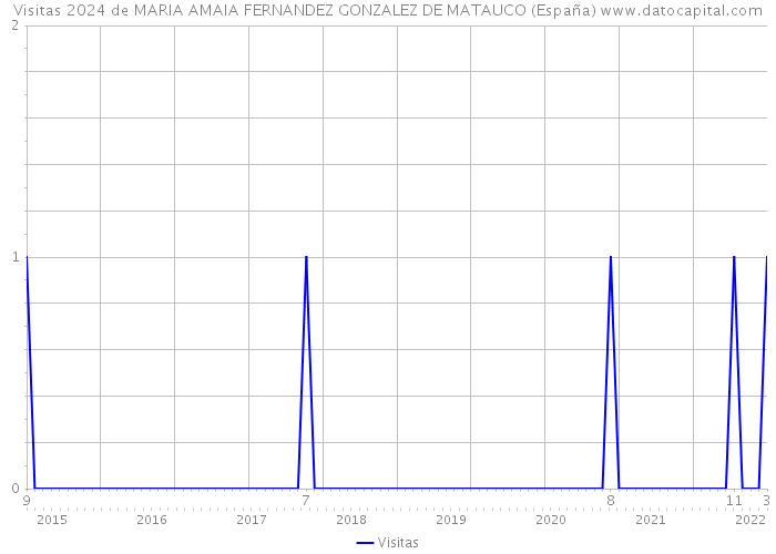 Visitas 2024 de MARIA AMAIA FERNANDEZ GONZALEZ DE MATAUCO (España) 