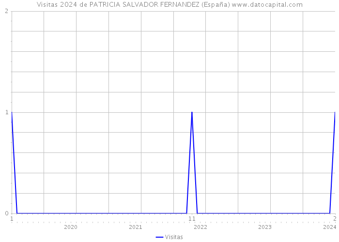 Visitas 2024 de PATRICIA SALVADOR FERNANDEZ (España) 