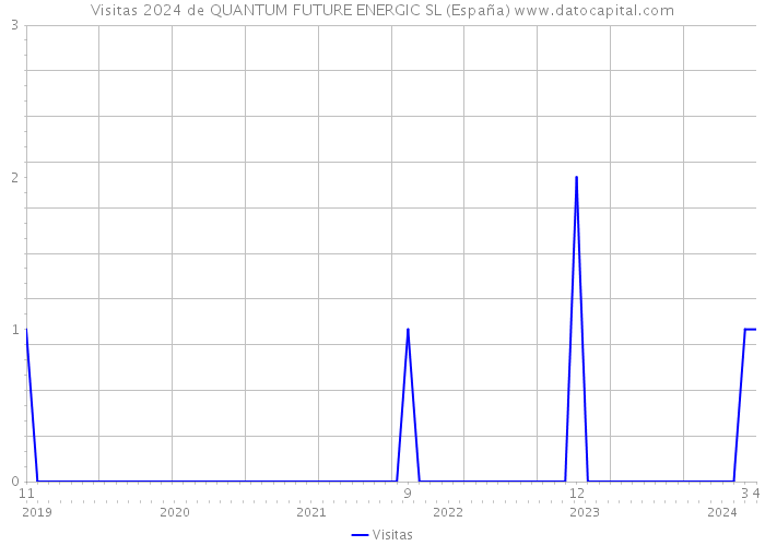 Visitas 2024 de QUANTUM FUTURE ENERGIC SL (España) 
