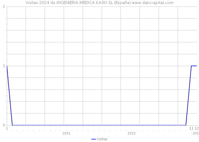 Visitas 2024 de INGENIERIA MEDICA KASKI SL (España) 