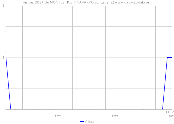 Visitas 2024 de MONTESINOS Y NAVARRO SL (España) 