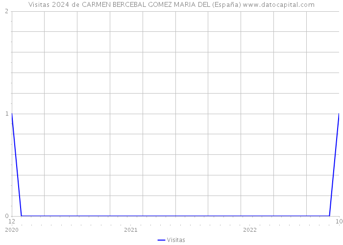 Visitas 2024 de CARMEN BERCEBAL GOMEZ MARIA DEL (España) 