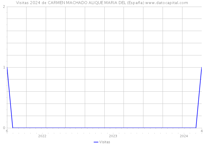 Visitas 2024 de CARMEN MACHADO ALIQUE MARIA DEL (España) 