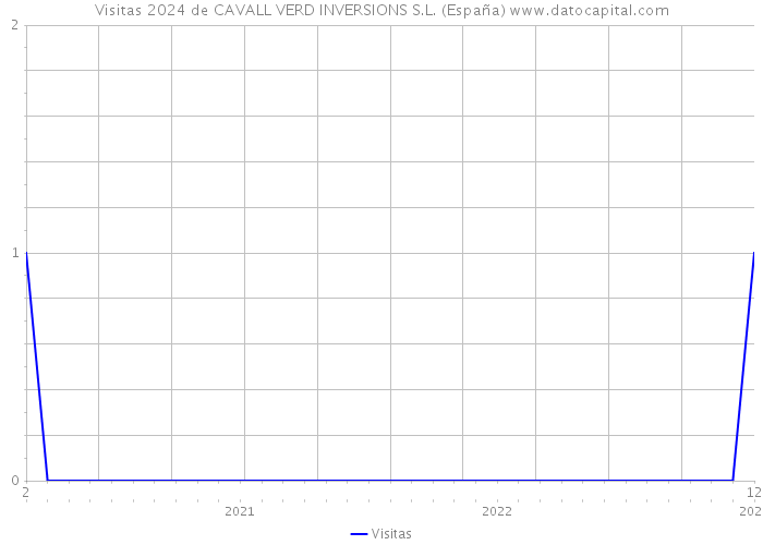 Visitas 2024 de CAVALL VERD INVERSIONS S.L. (España) 
