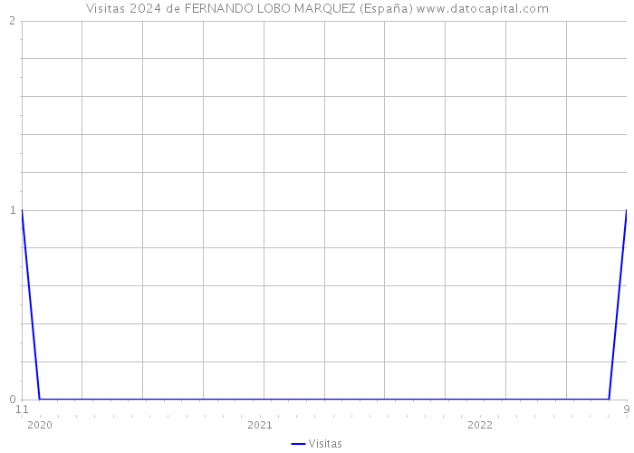 Visitas 2024 de FERNANDO LOBO MARQUEZ (España) 