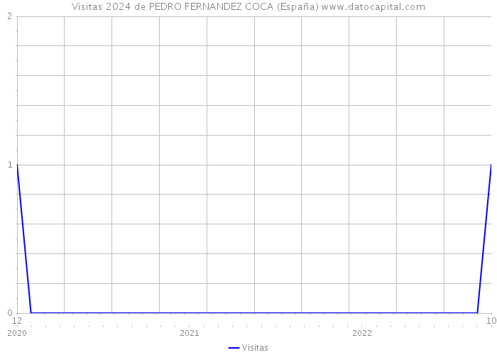 Visitas 2024 de PEDRO FERNANDEZ COCA (España) 