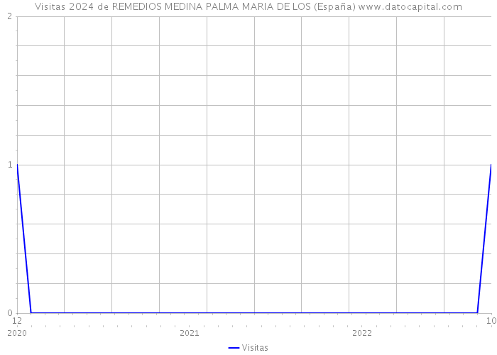 Visitas 2024 de REMEDIOS MEDINA PALMA MARIA DE LOS (España) 