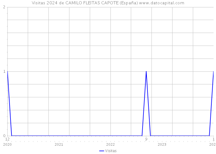 Visitas 2024 de CAMILO FLEITAS CAPOTE (España) 