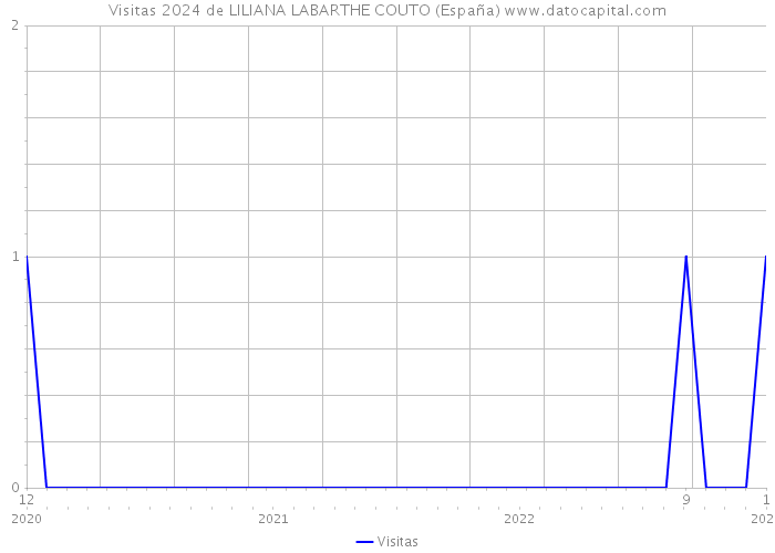 Visitas 2024 de LILIANA LABARTHE COUTO (España) 