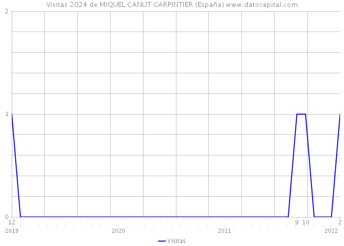 Visitas 2024 de MIQUEL CANUT CARPINTIER (España) 